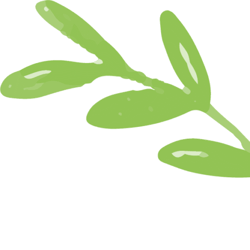 About Mithila Fresh