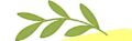 Mithila Fresh – Delivering Farm-Fresh & Authentic Mithila Products to Your Doorstep mithila fresh