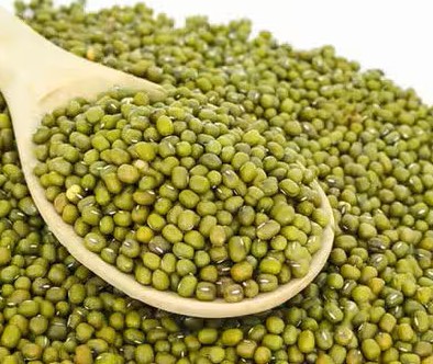 Whole Moong Dal 500g | Natural Farm Fresh Green Gram Pulses