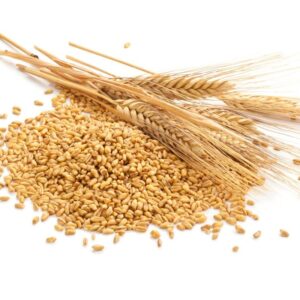Wheat from Natural Farms