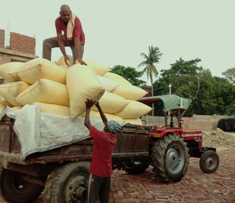 Makhana Tauli Rate Today Bihar Wholesale Price